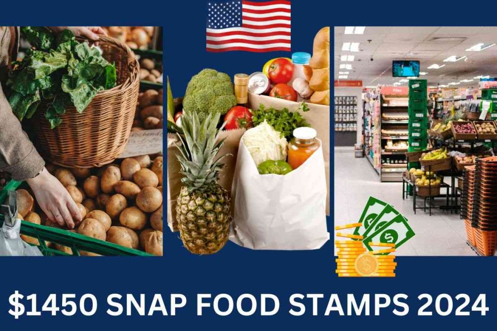 food snap stamp 2024