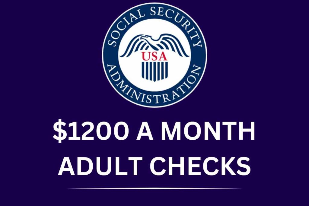 $1,200 A Month Adult Checks April 2024