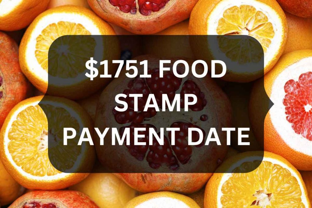 $1,751 SNAP Payment Date 2024 - Check Who Is Eligible For Food Stamp?