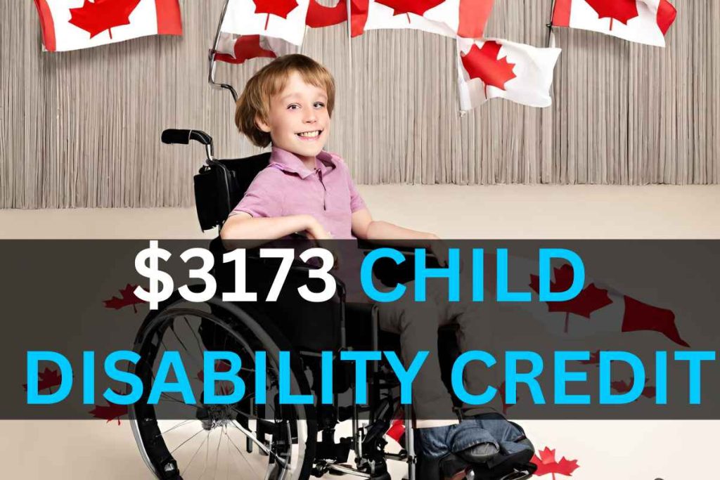 $3,173 Canada Child Disability Credit 2024