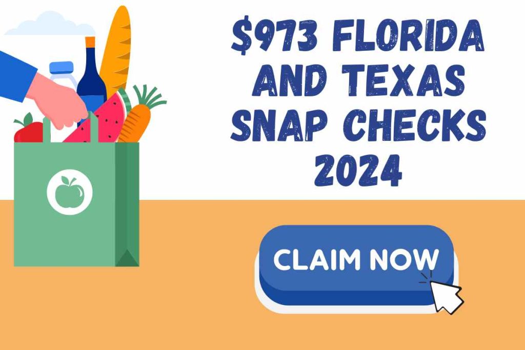 $973 Florida and Texas Snap Checks 2024