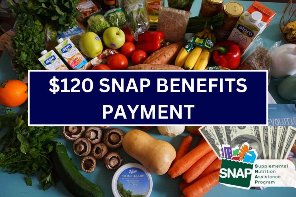 $120 SNAP Benefits Payment June 2024 - Know States, Payment Dates & Eligibility